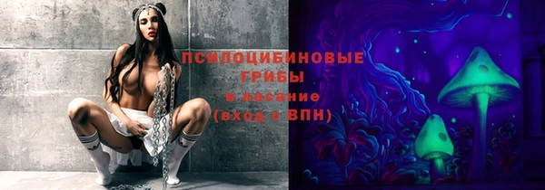 mdpv Иннополис
