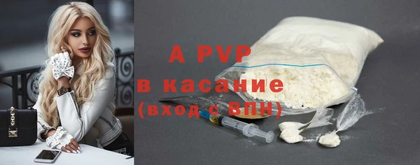 эйфоретик Инсар