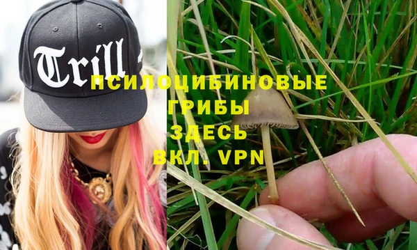 MDMA Premium VHQ Каменск-Шахтинский